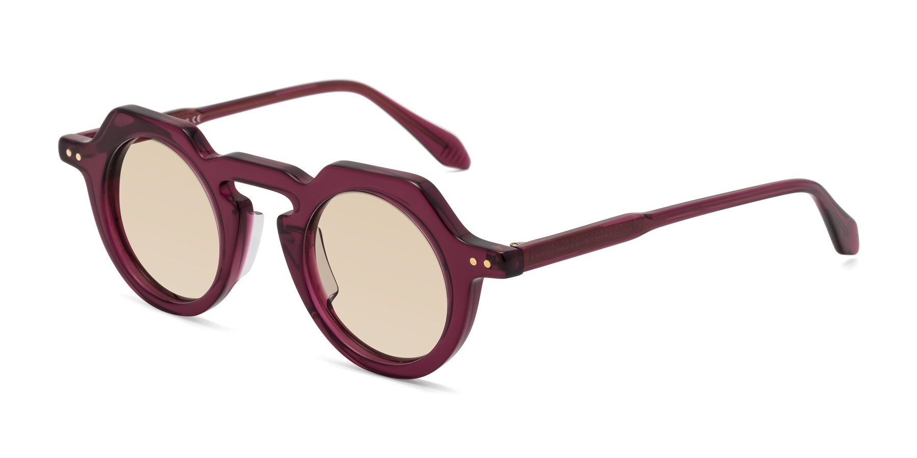 Angle of Arbor in Deep Purple with Light Brown Tinted Lenses