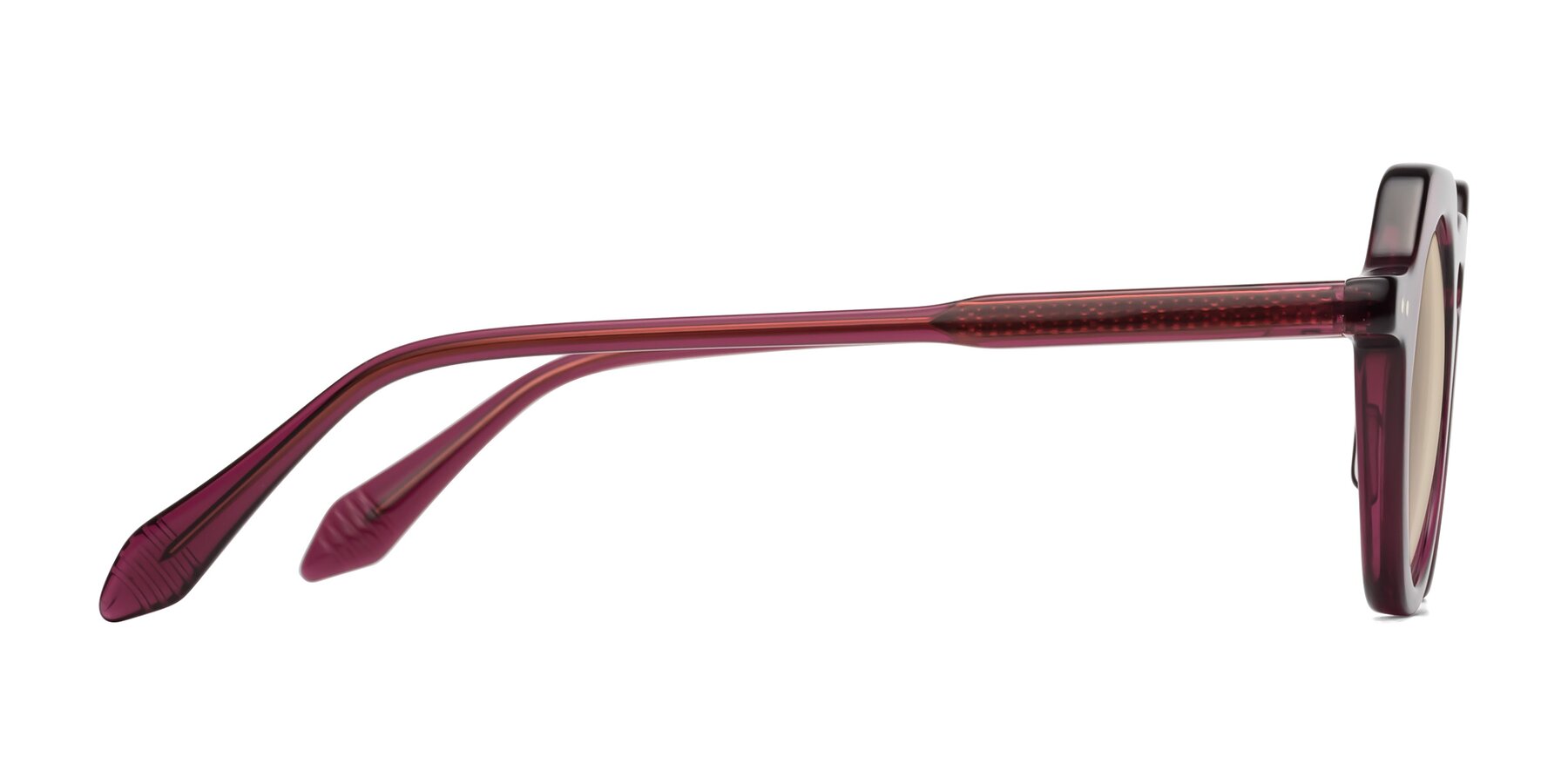 Side of Arbor in Deep Purple with Light Brown Tinted Lenses