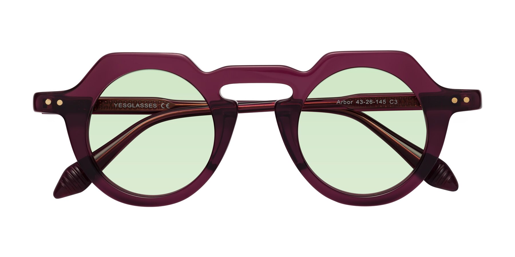 Folded Front of Arbor in Deep Purple with Light Green Tinted Lenses