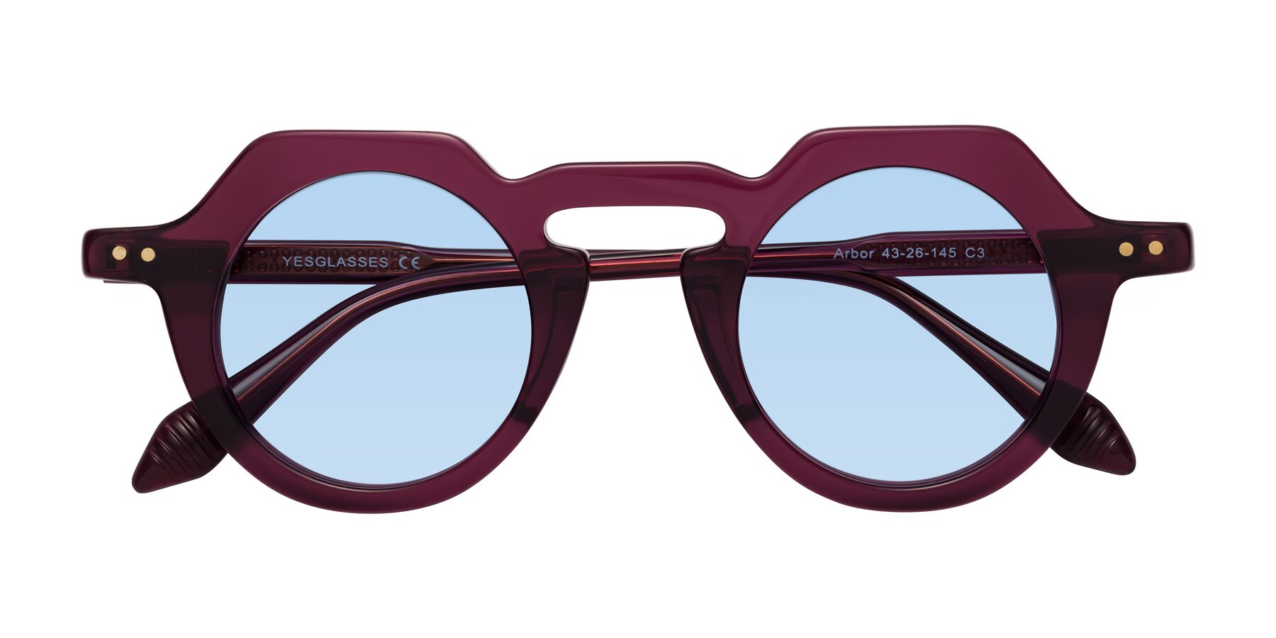 Folded Front of Arbor in Deep Purple with Light Blue Tinted Lenses