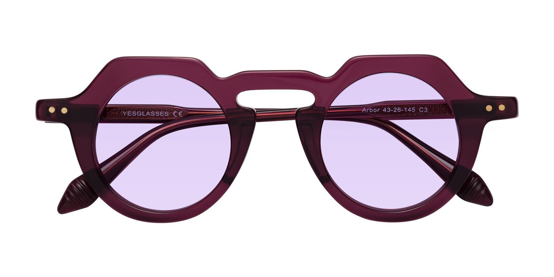 Folded Front of Arbor in Deep Purple with Light Purple Tinted Lenses