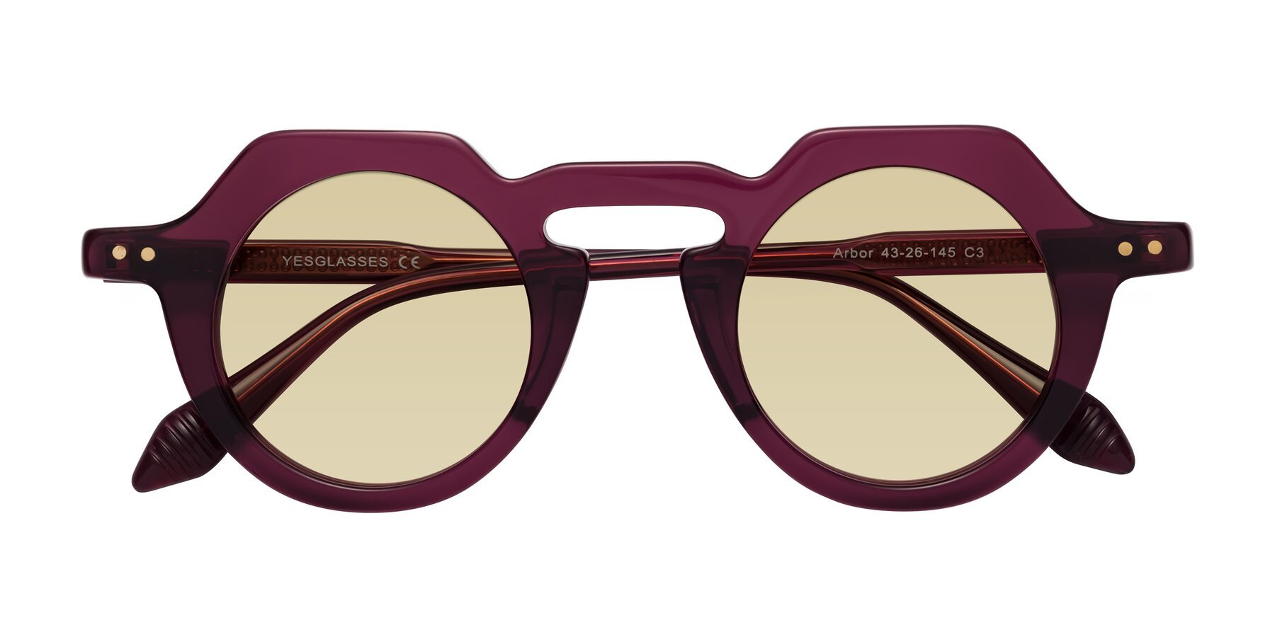 Folded Front of Arbor in Deep Purple with Light Champagne Tinted Lenses