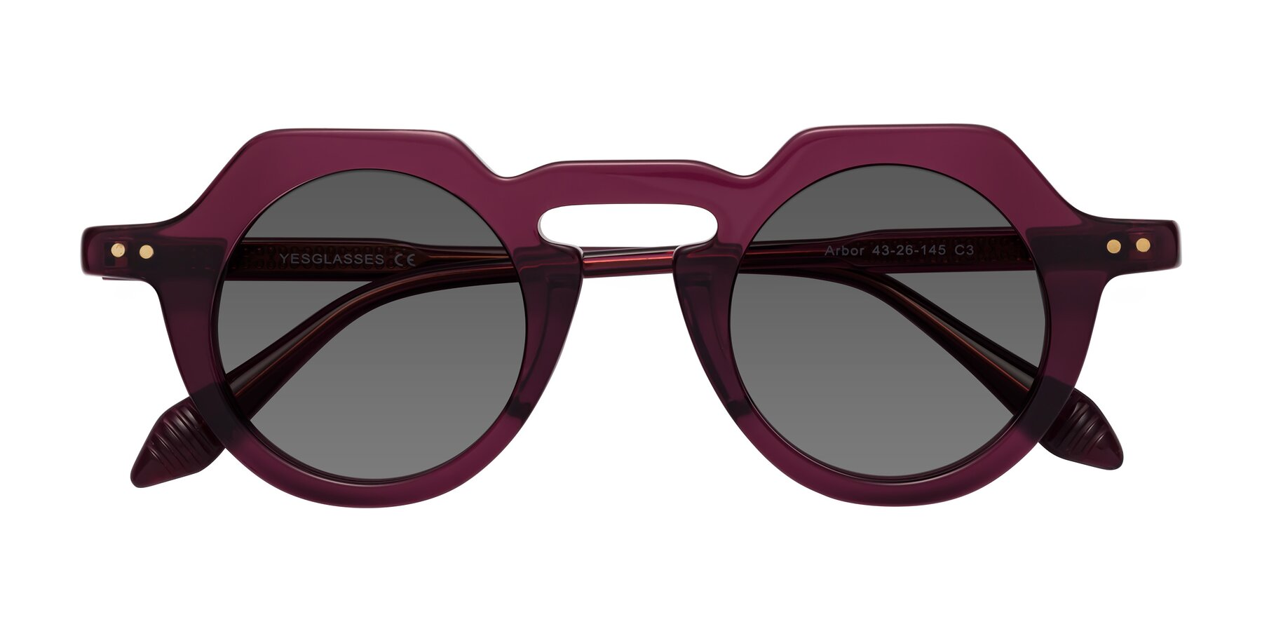 Folded Front of Arbor in Deep Purple with Medium Gray Tinted Lenses