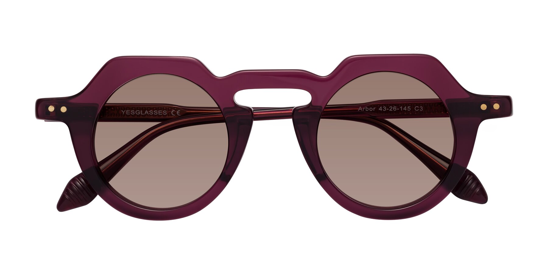 Folded Front of Arbor in Deep Purple with Medium Brown Tinted Lenses