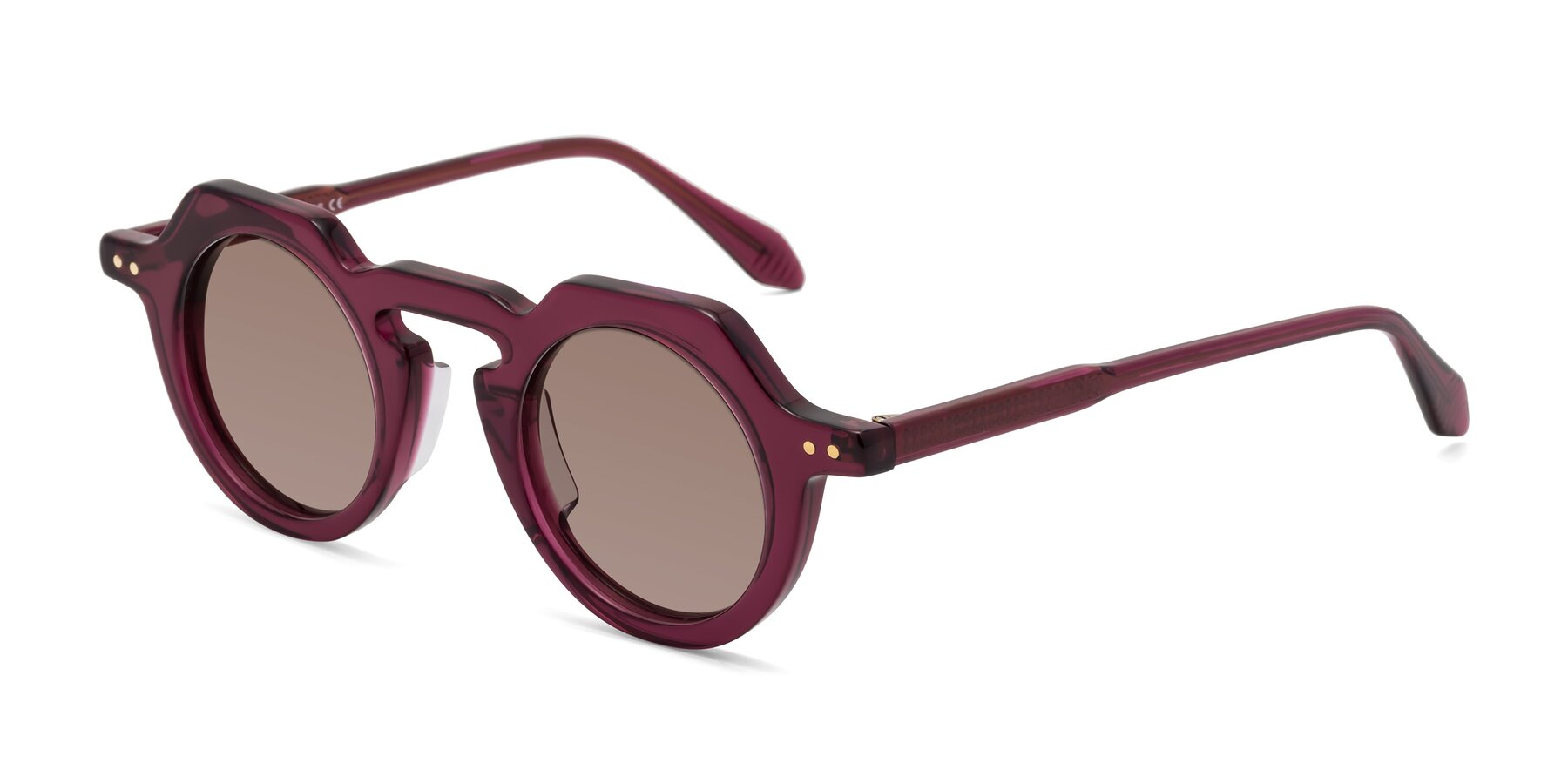 Angle of Arbor in Deep Purple with Medium Brown Tinted Lenses