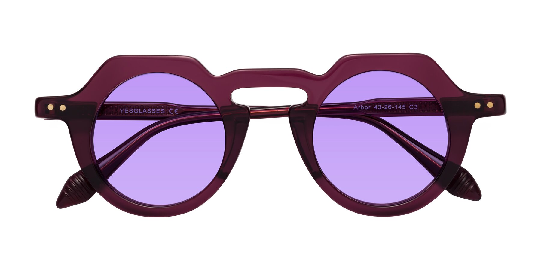 Folded Front of Arbor in Deep Purple with Medium Purple Tinted Lenses