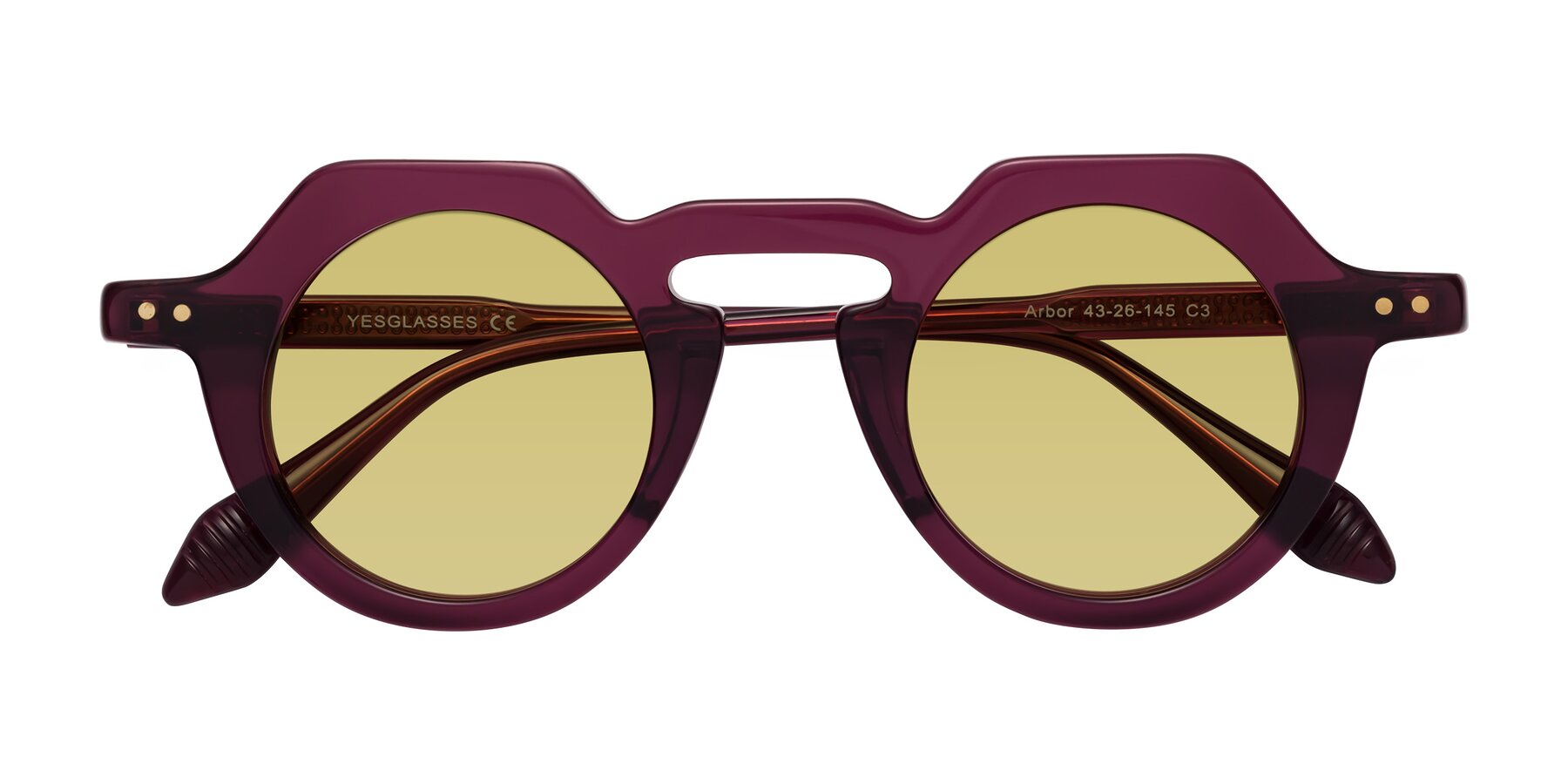 Folded Front of Arbor in Deep Purple with Medium Champagne Tinted Lenses