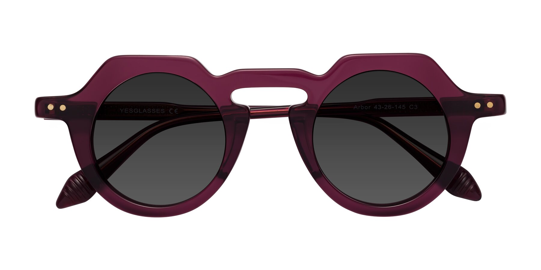 Folded Front of Arbor in Deep Purple with Gray Tinted Lenses