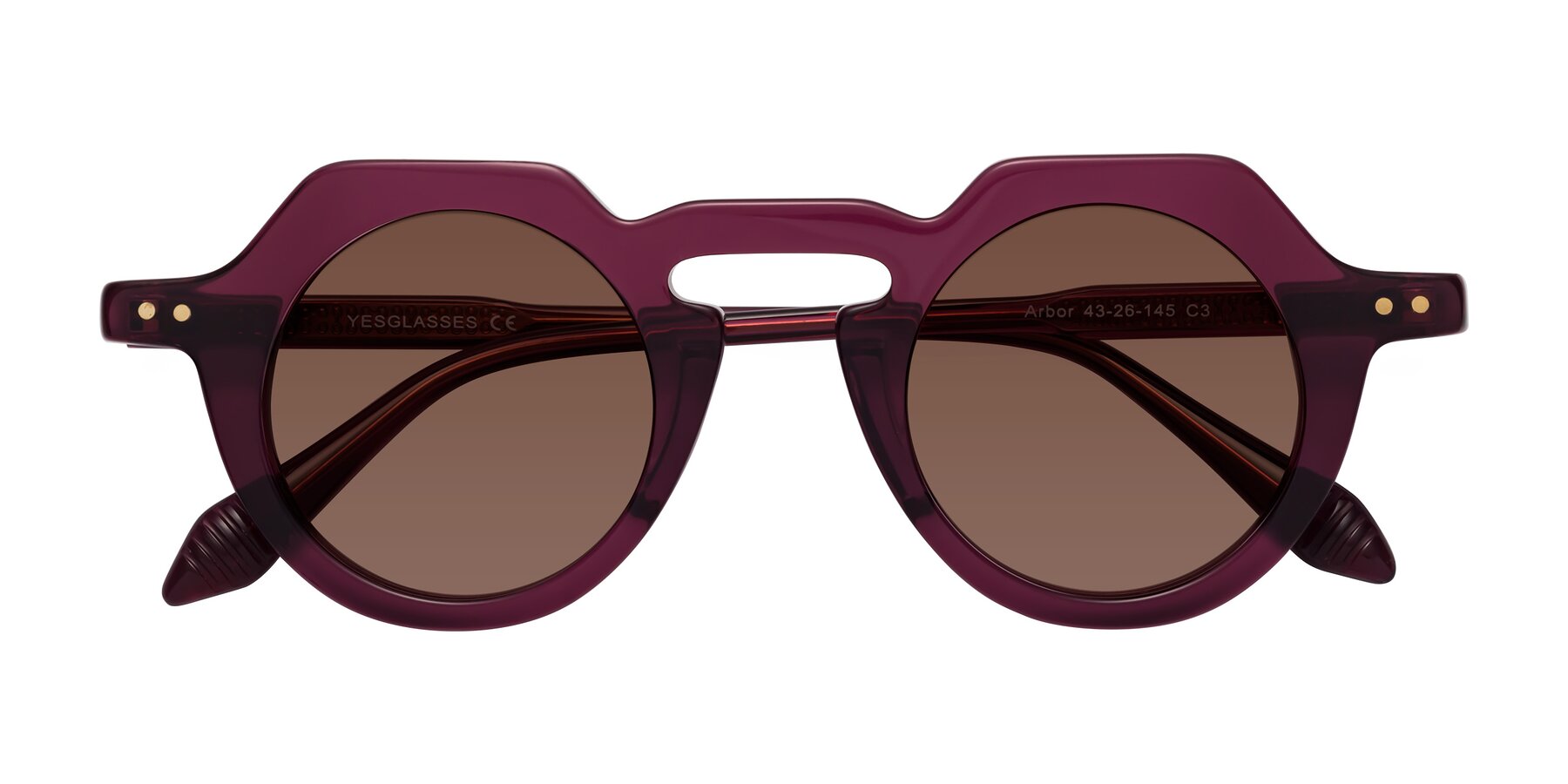 Folded Front of Arbor in Deep Purple with Brown Tinted Lenses