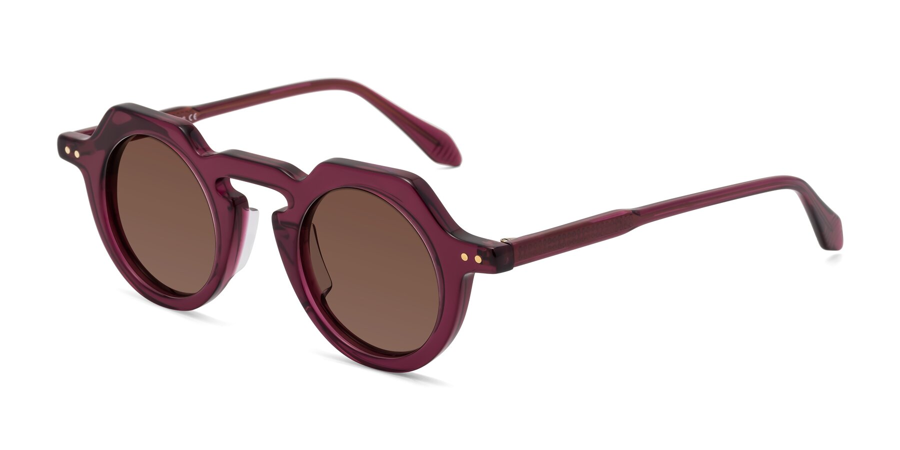 Angle of Arbor in Deep Purple with Brown Tinted Lenses