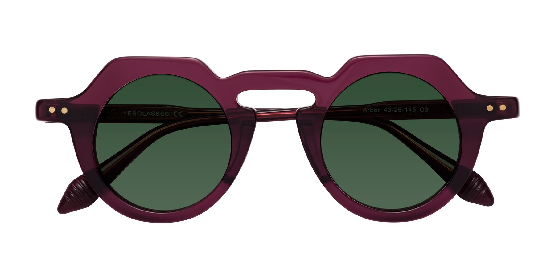 Folded Front of Arbor in Deep Purple with Green Tinted Lenses