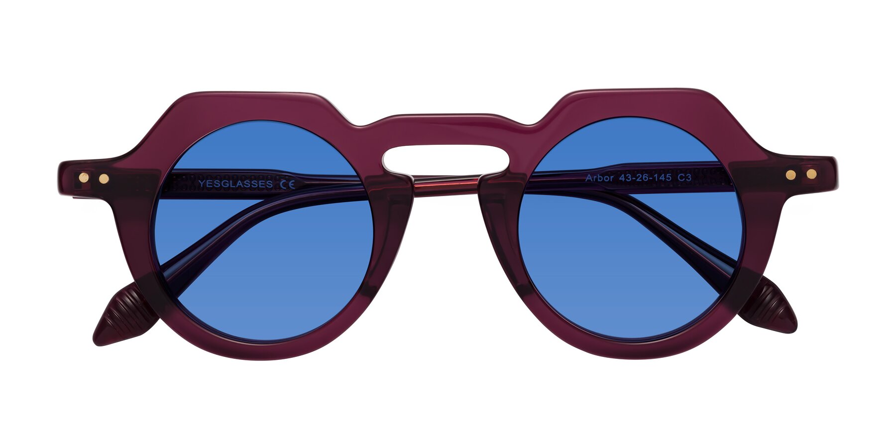 Folded Front of Arbor in Deep Purple with Blue Tinted Lenses