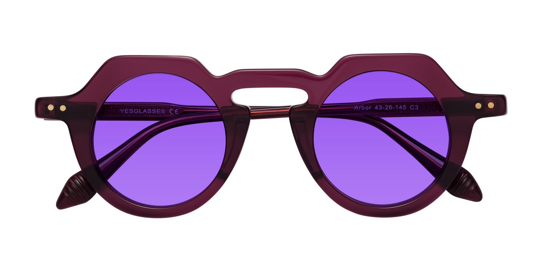 Folded Front of Arbor in Deep Purple with Purple Tinted Lenses