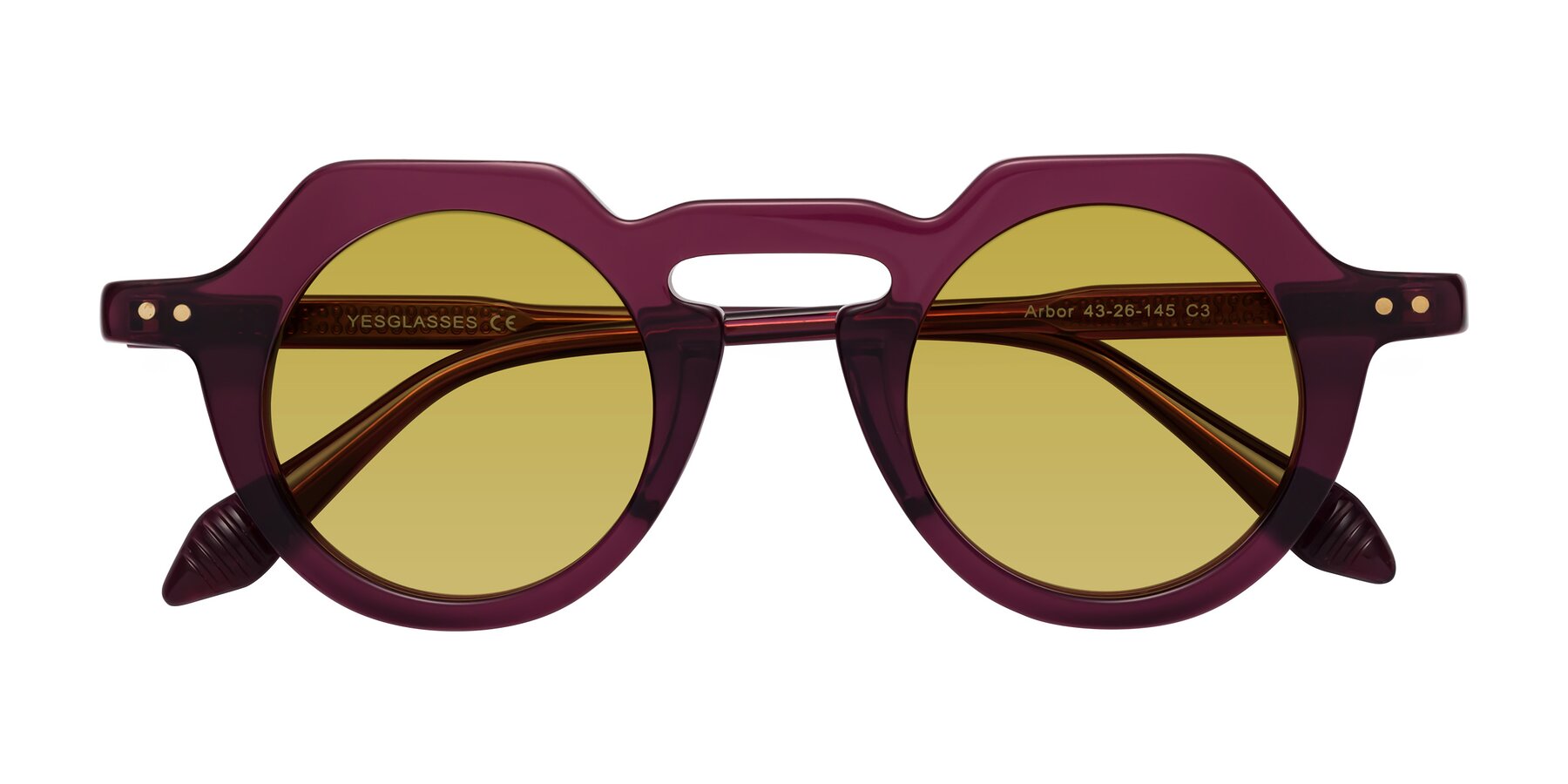 Folded Front of Arbor in Deep Purple with Champagne Tinted Lenses