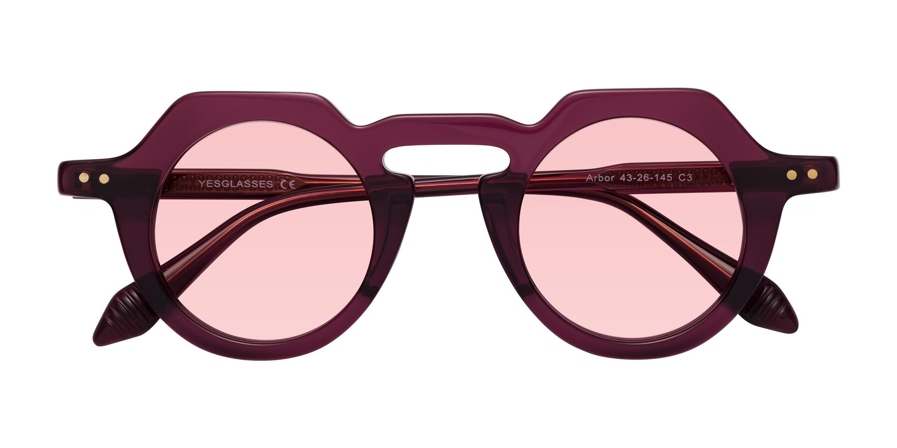 Folded Front of Arbor in Deep Purple with Light Garnet Tinted Lenses