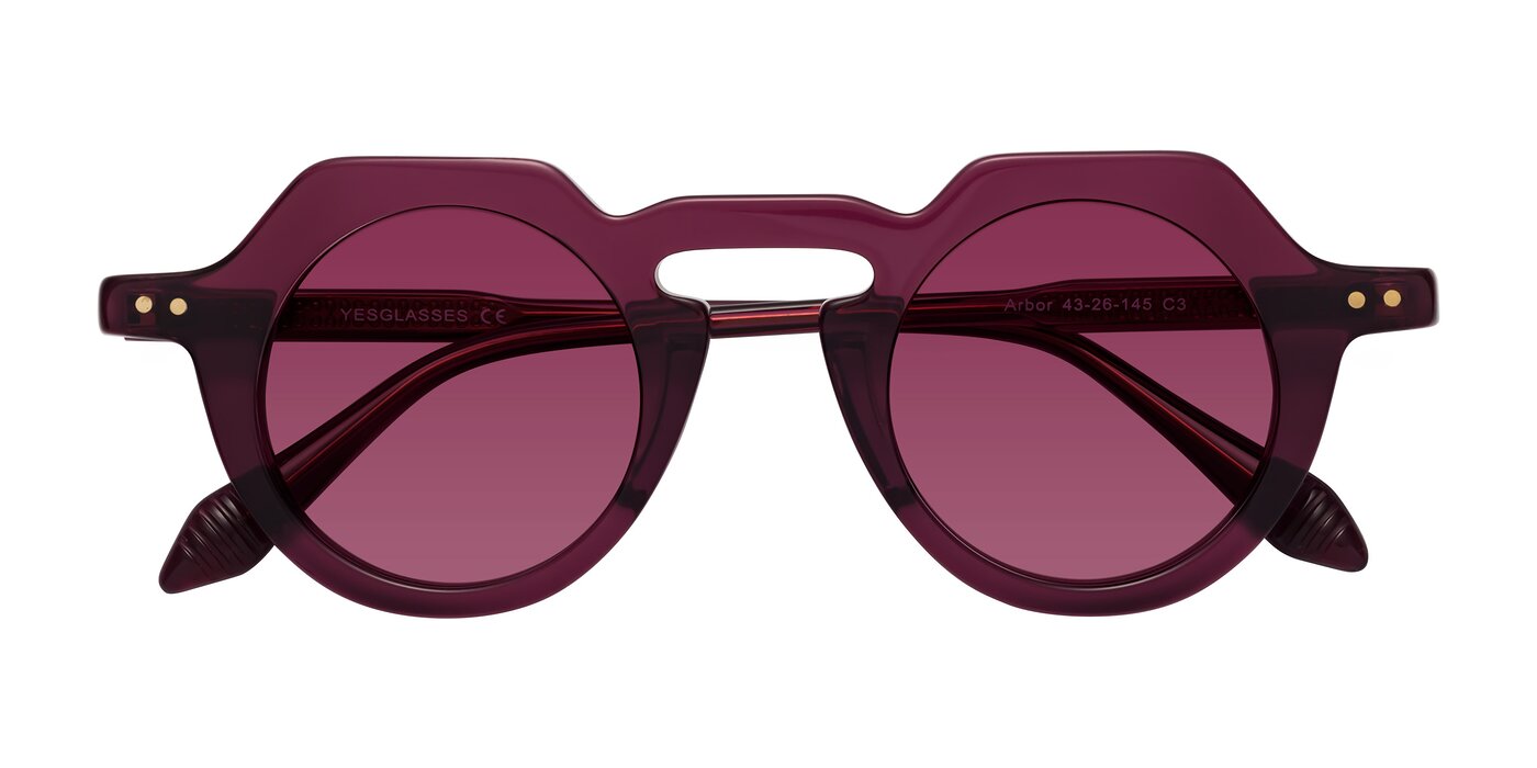 Arbor - Deep Purple Tinted Sunglasses