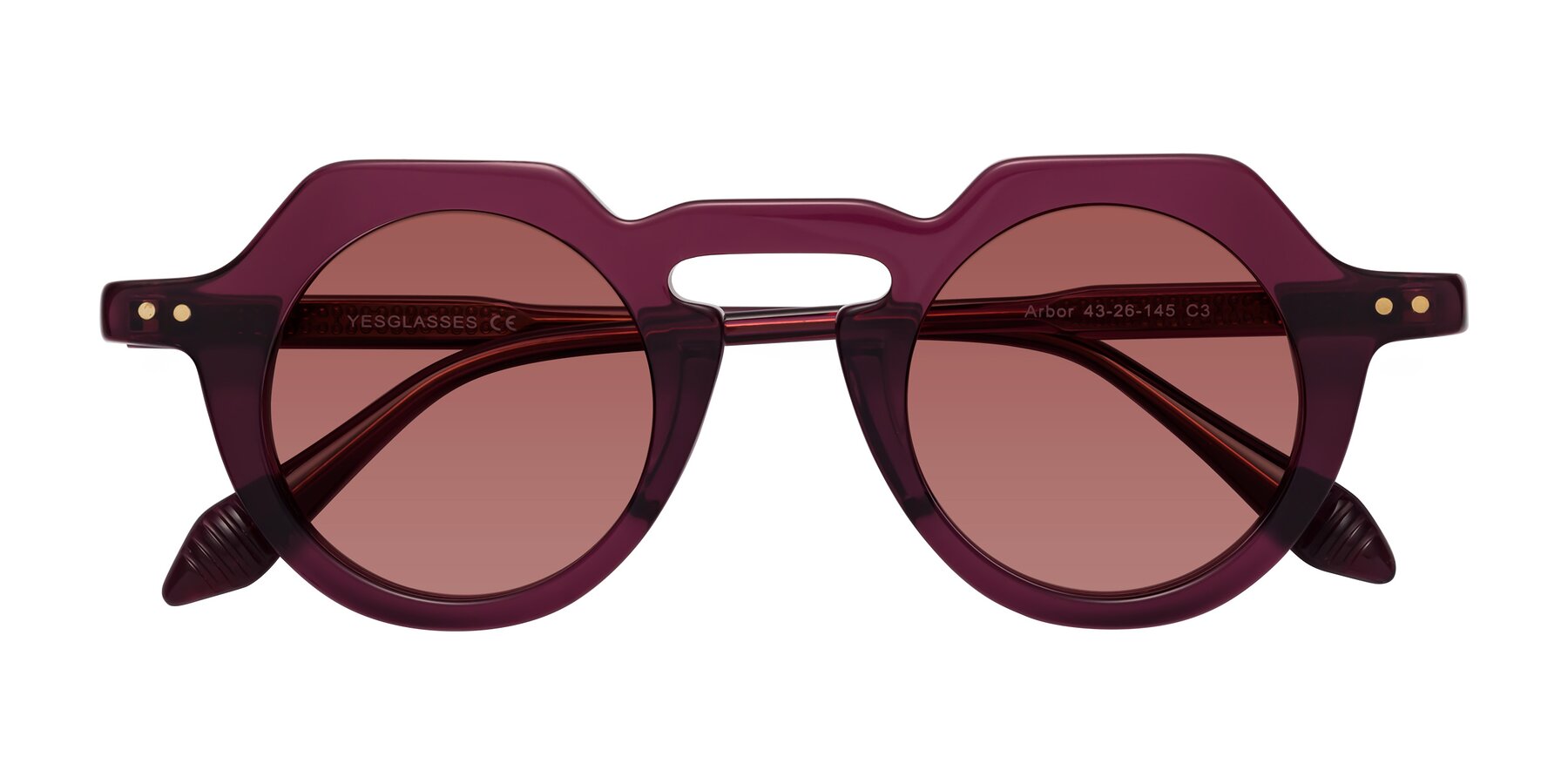 Folded Front of Arbor in Deep Purple with Garnet Tinted Lenses