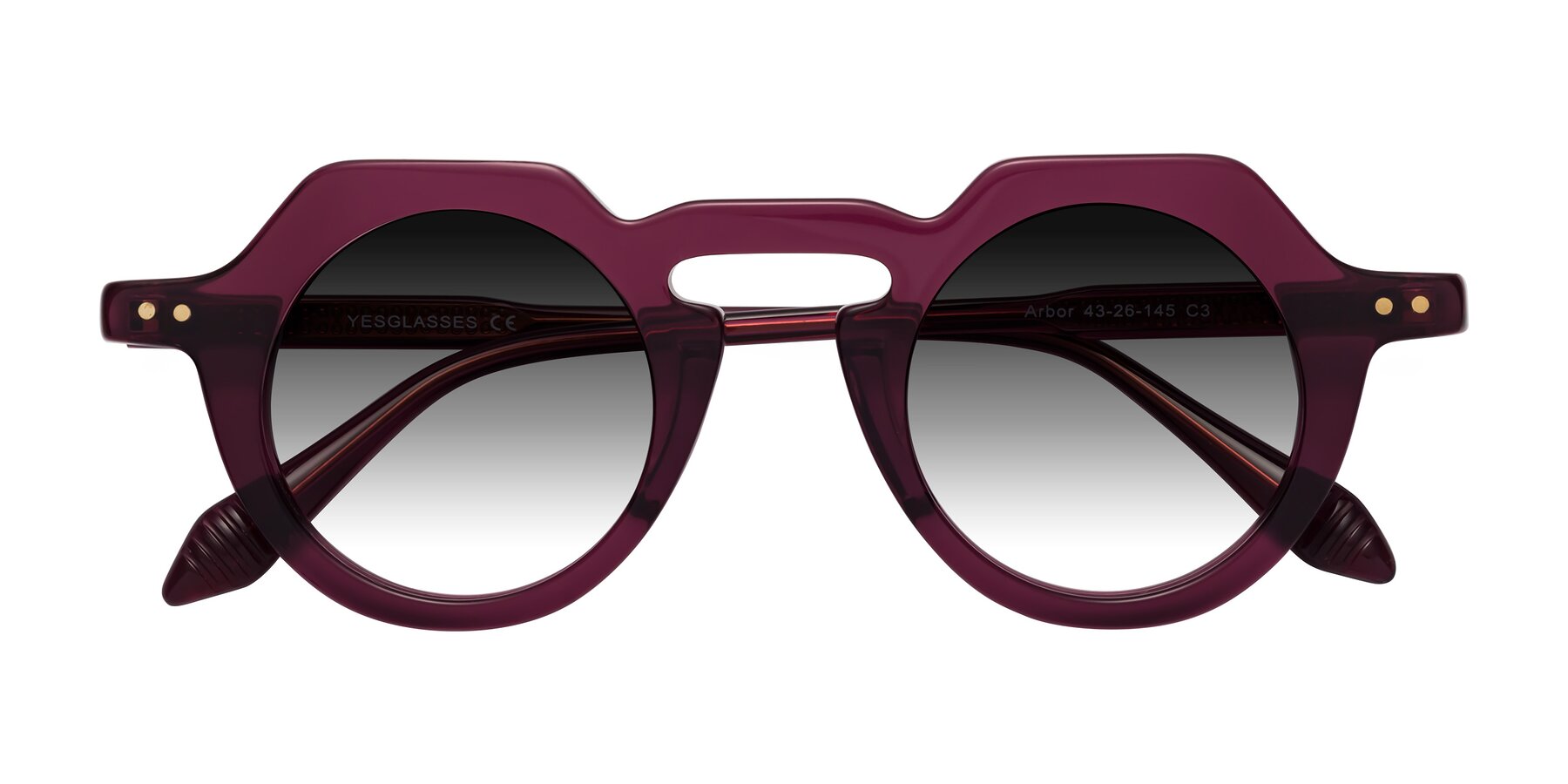 Folded Front of Arbor in Deep Purple with Gray Gradient Lenses