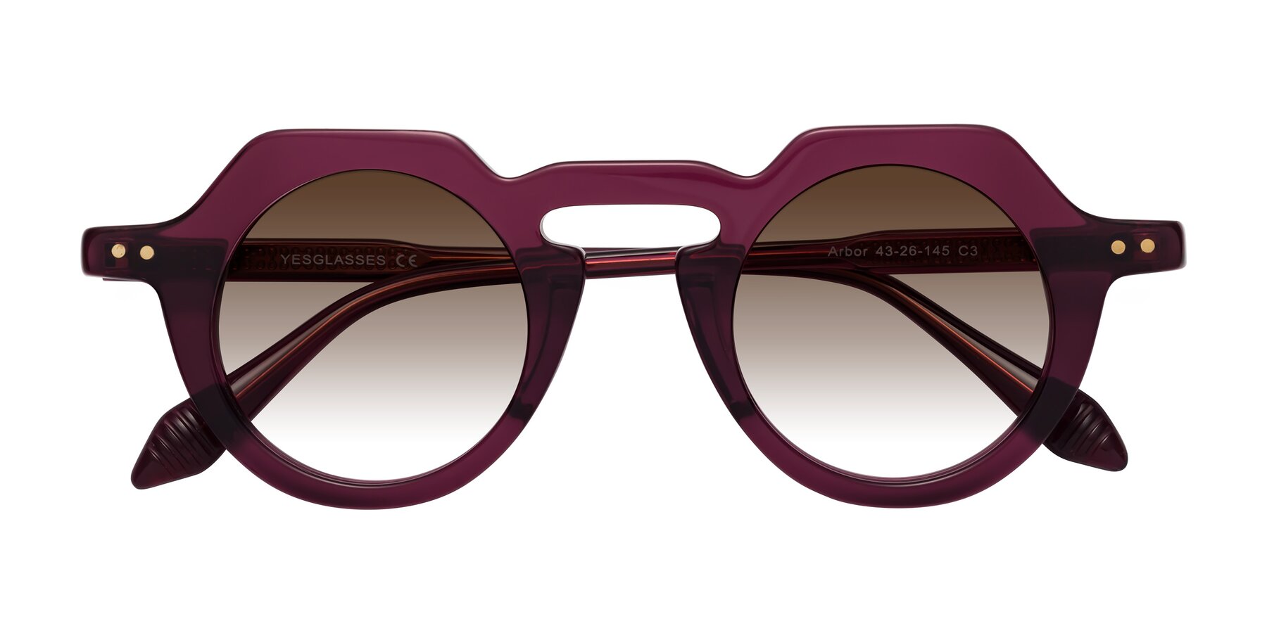 Folded Front of Arbor in Deep Purple with Brown Gradient Lenses