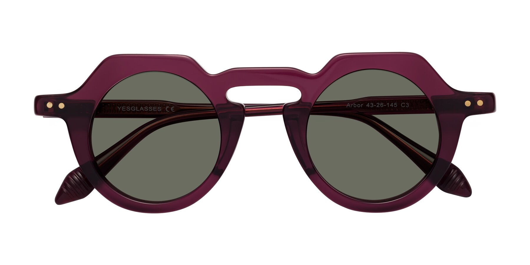 Folded Front of Arbor in Deep Purple with Gray Polarized Lenses