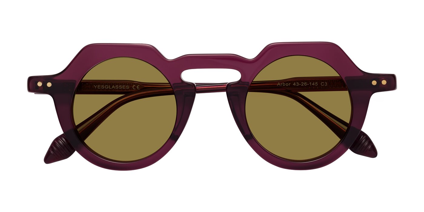 Arbor - Deep Purple Polarized Sunglasses