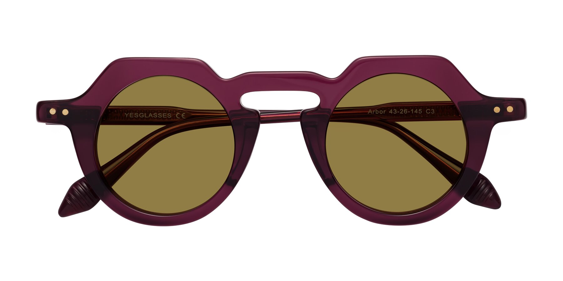 Folded Front of Arbor in Deep Purple with Brown Polarized Lenses