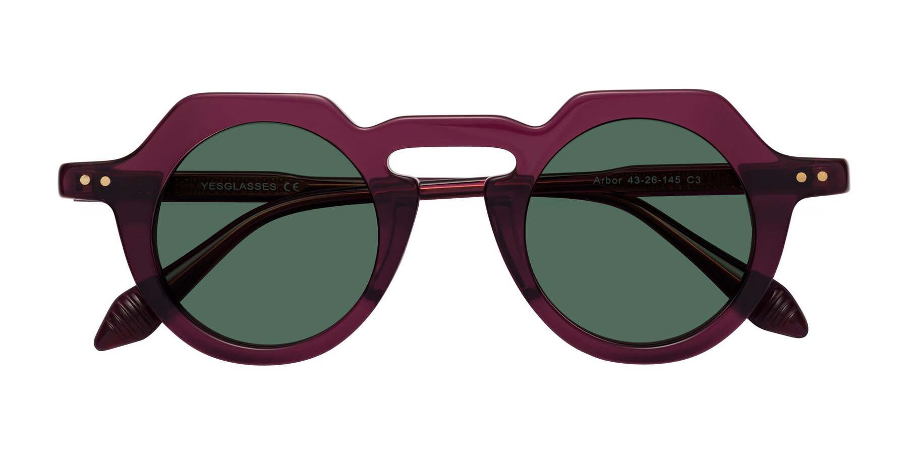 Folded Front of Arbor in Deep Purple with Green Polarized Lenses