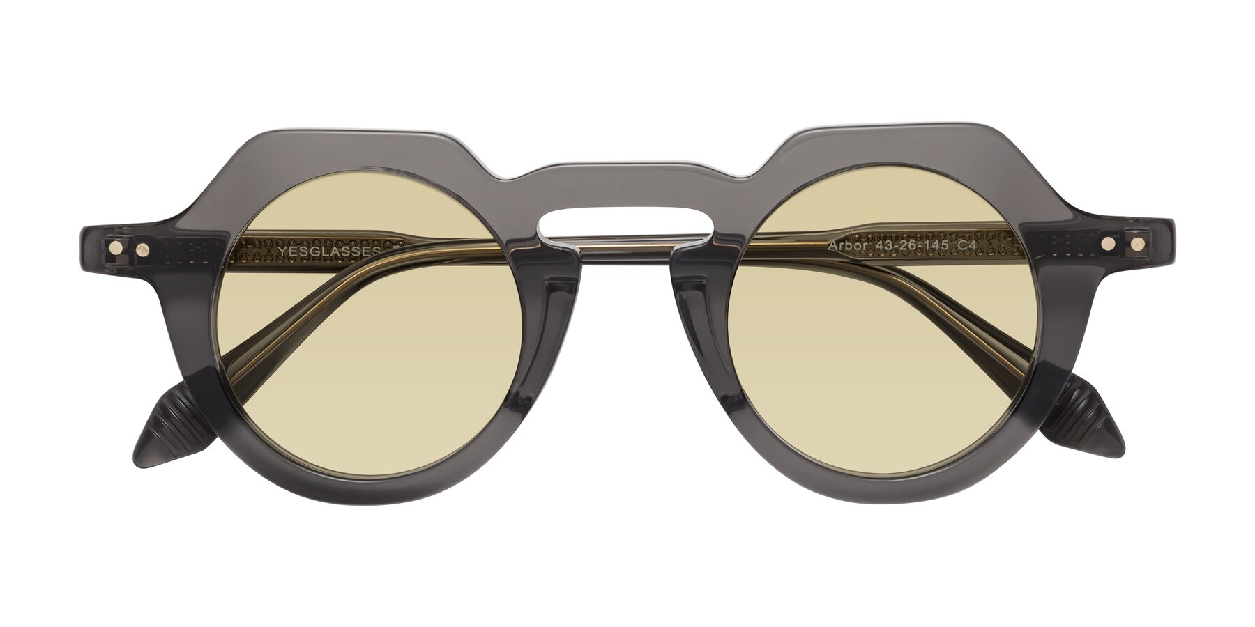 Folded Front of Arbor in Translucent Gray with Light Champagne Tinted Lenses