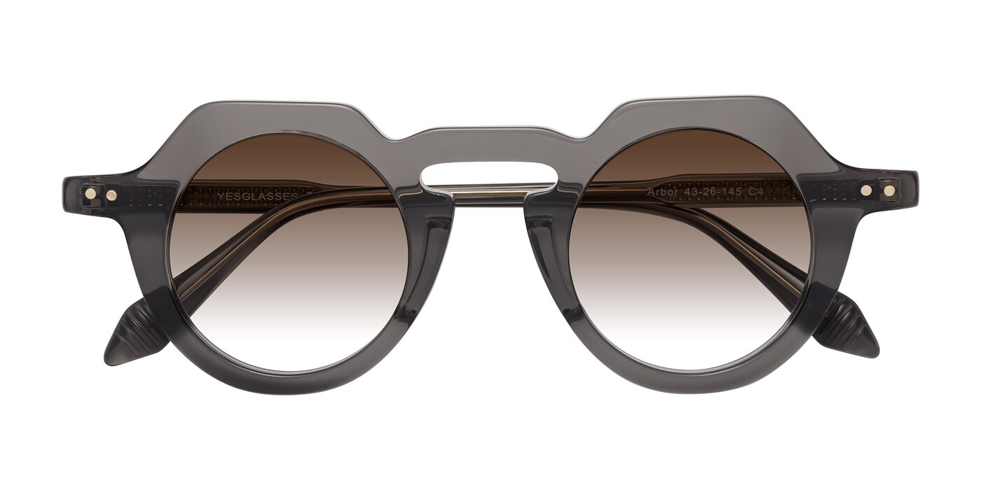 Arbor - Translucent Gray Gradient Sunglasses