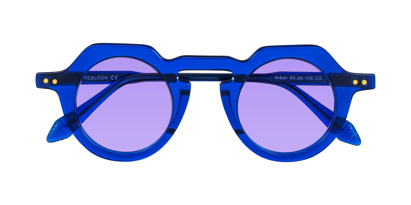 Arbor - Blue Tinted Sunglasses