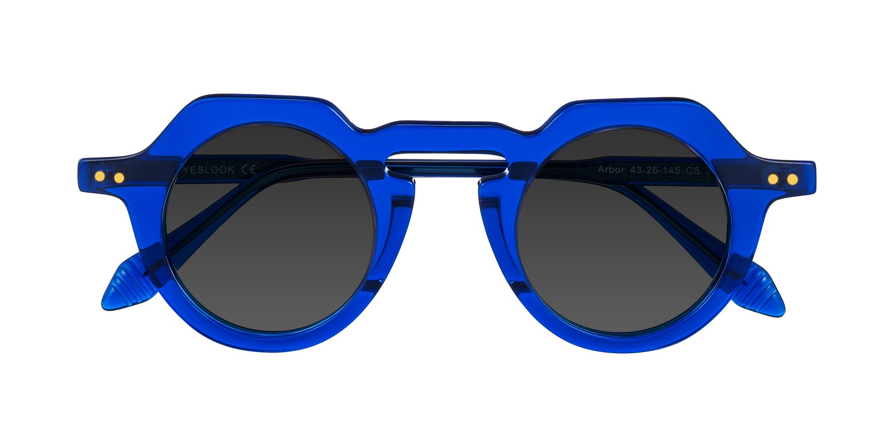 Folded Front of Arbor in Blue with Gray Tinted Lenses