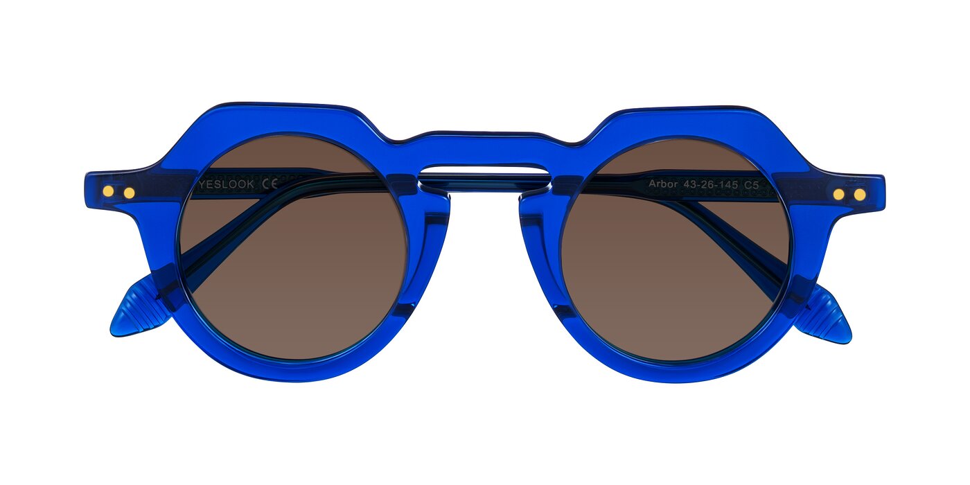 Arbor - Blue Tinted Sunglasses