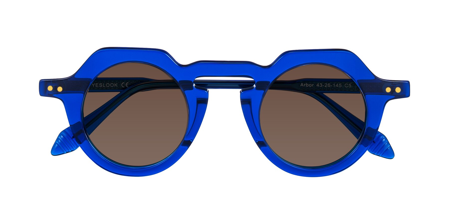 Folded Front of Arbor in Blue with Brown Tinted Lenses