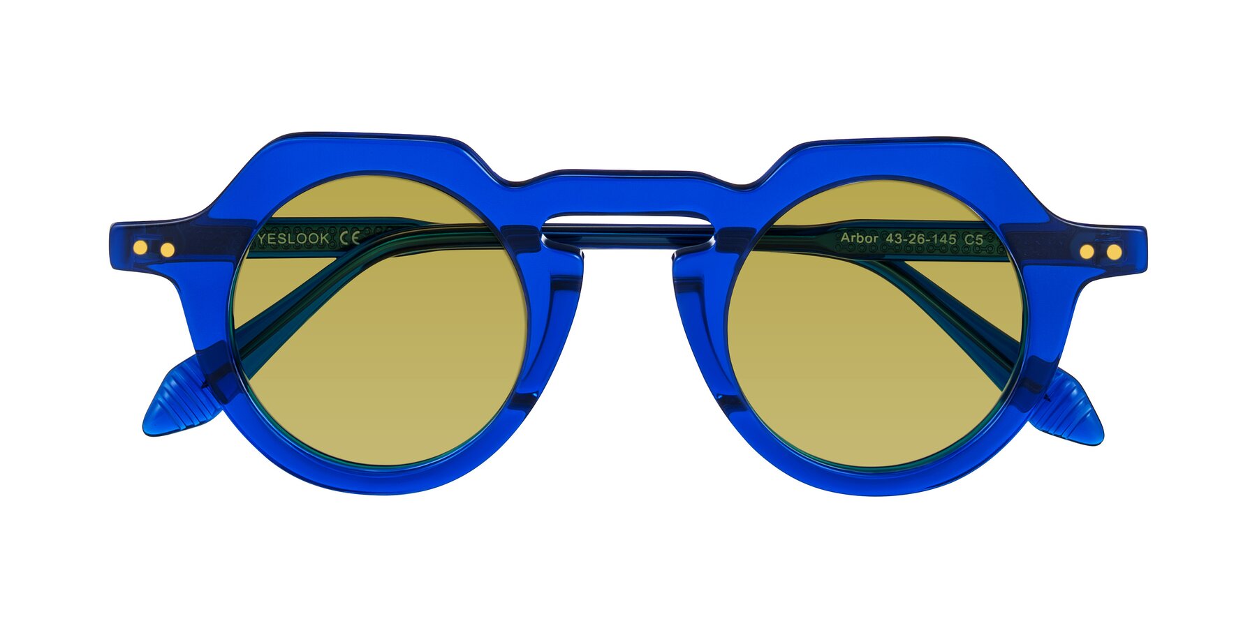 Folded Front of Arbor in Blue with Champagne Tinted Lenses