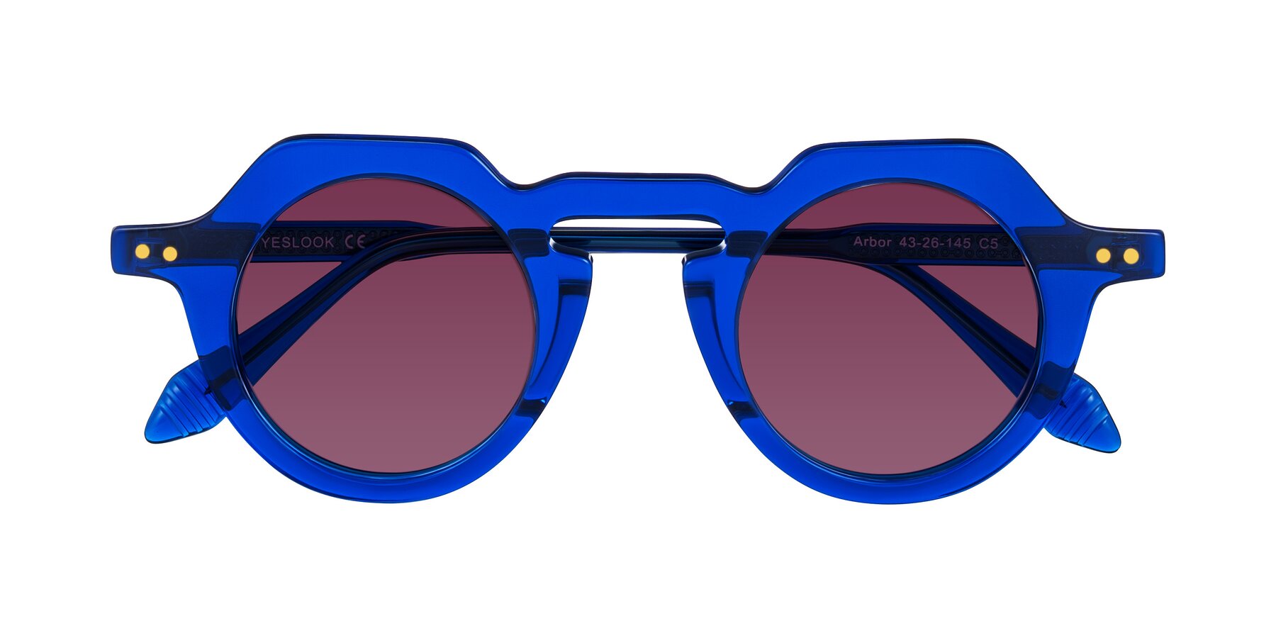 Folded Front of Arbor in Blue with Wine Tinted Lenses