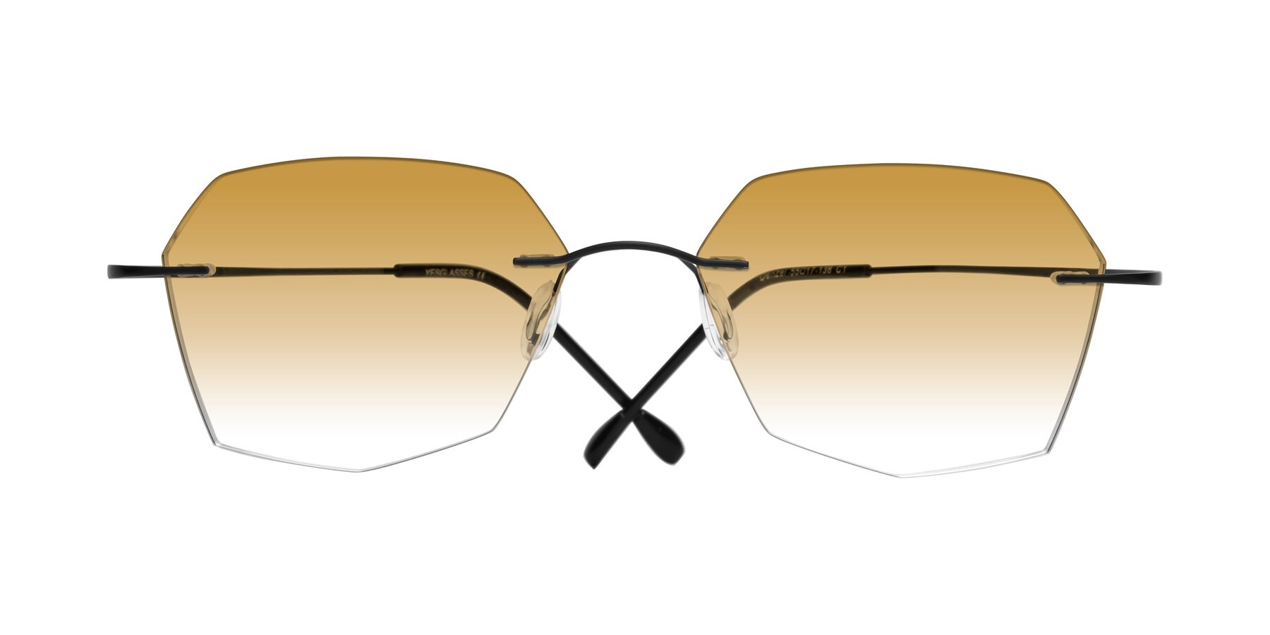 Folded Front of Denzel in Black with Champagne Gradient Lenses