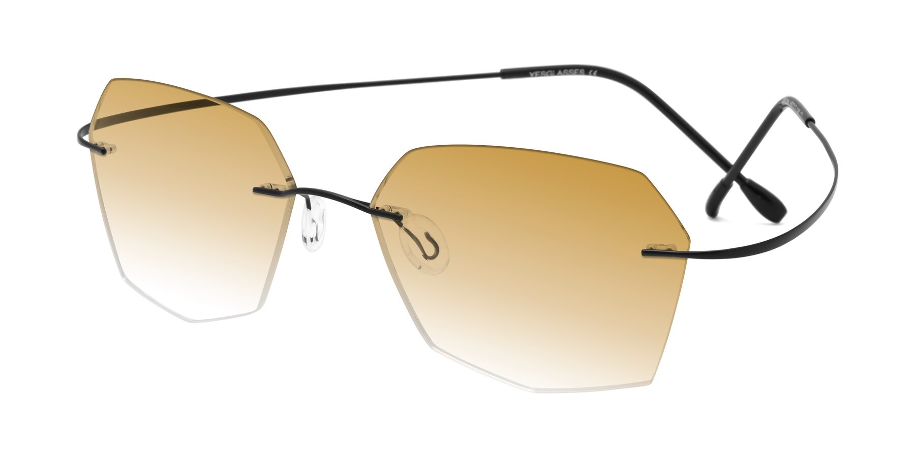 Angle of Denzel in Black with Champagne Gradient Lenses