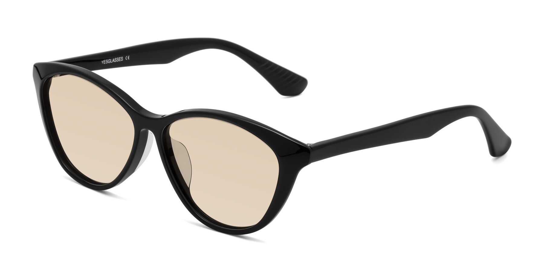 Angle of Casualness in Black with Light Brown Tinted Lenses