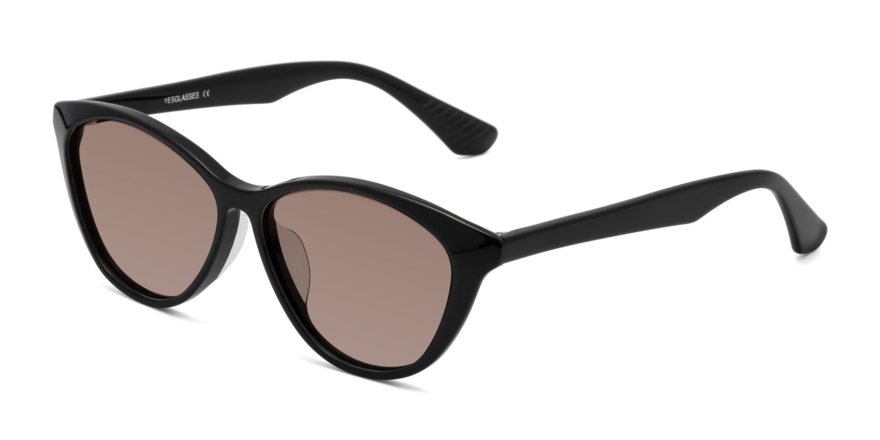 Angle of Casualness in Black with Medium Brown Tinted Lenses