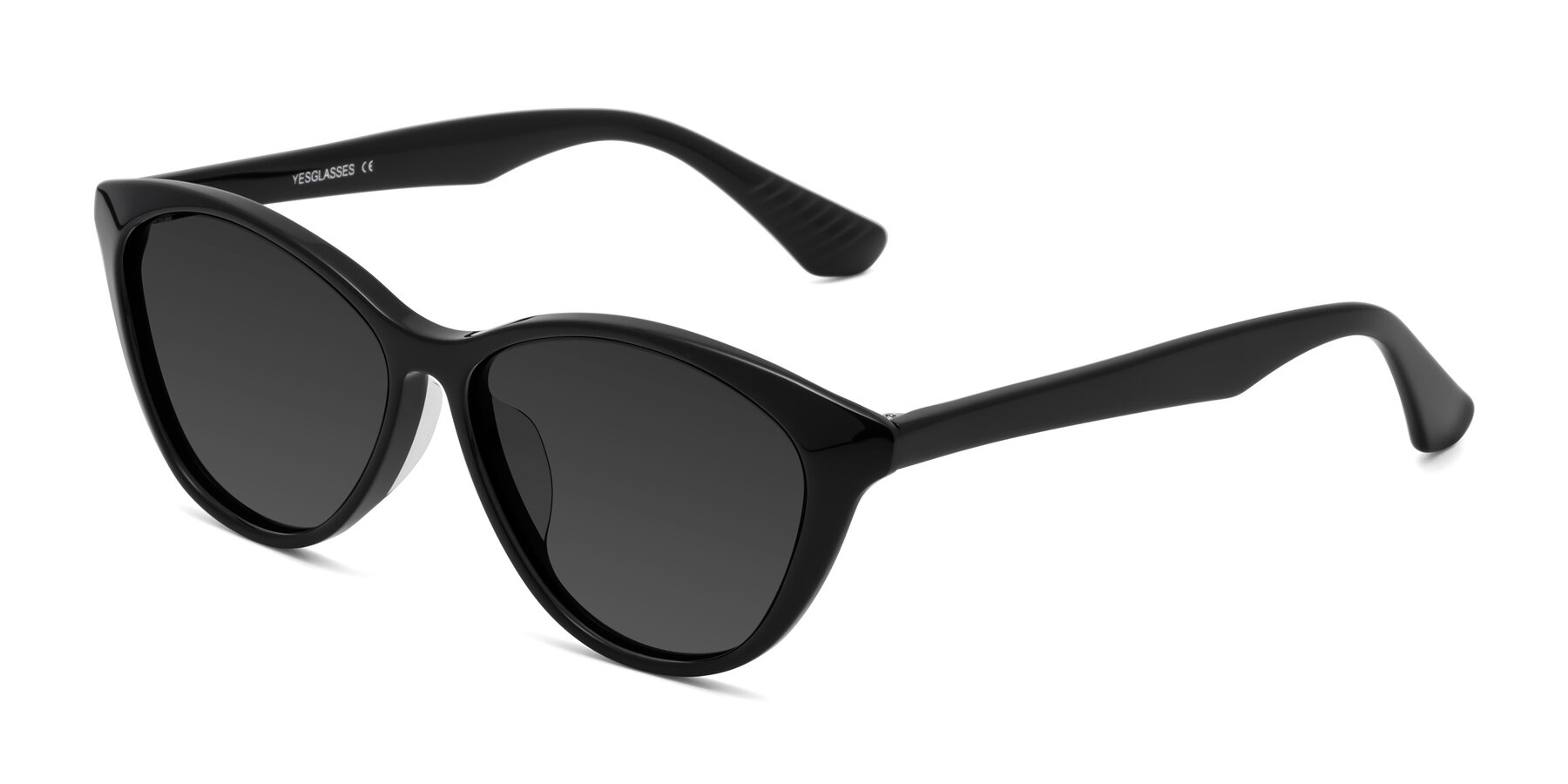 Angle of Casualness in Black with Gray Tinted Lenses