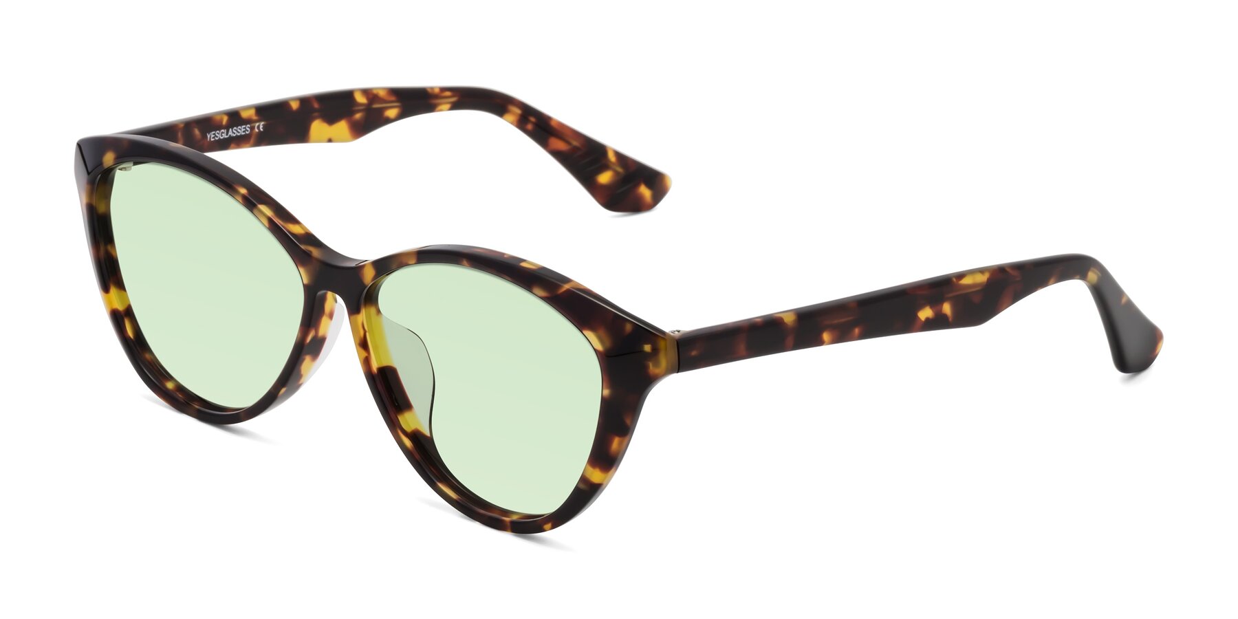 Angle of Casualness in Tortoise with Light Green Tinted Lenses