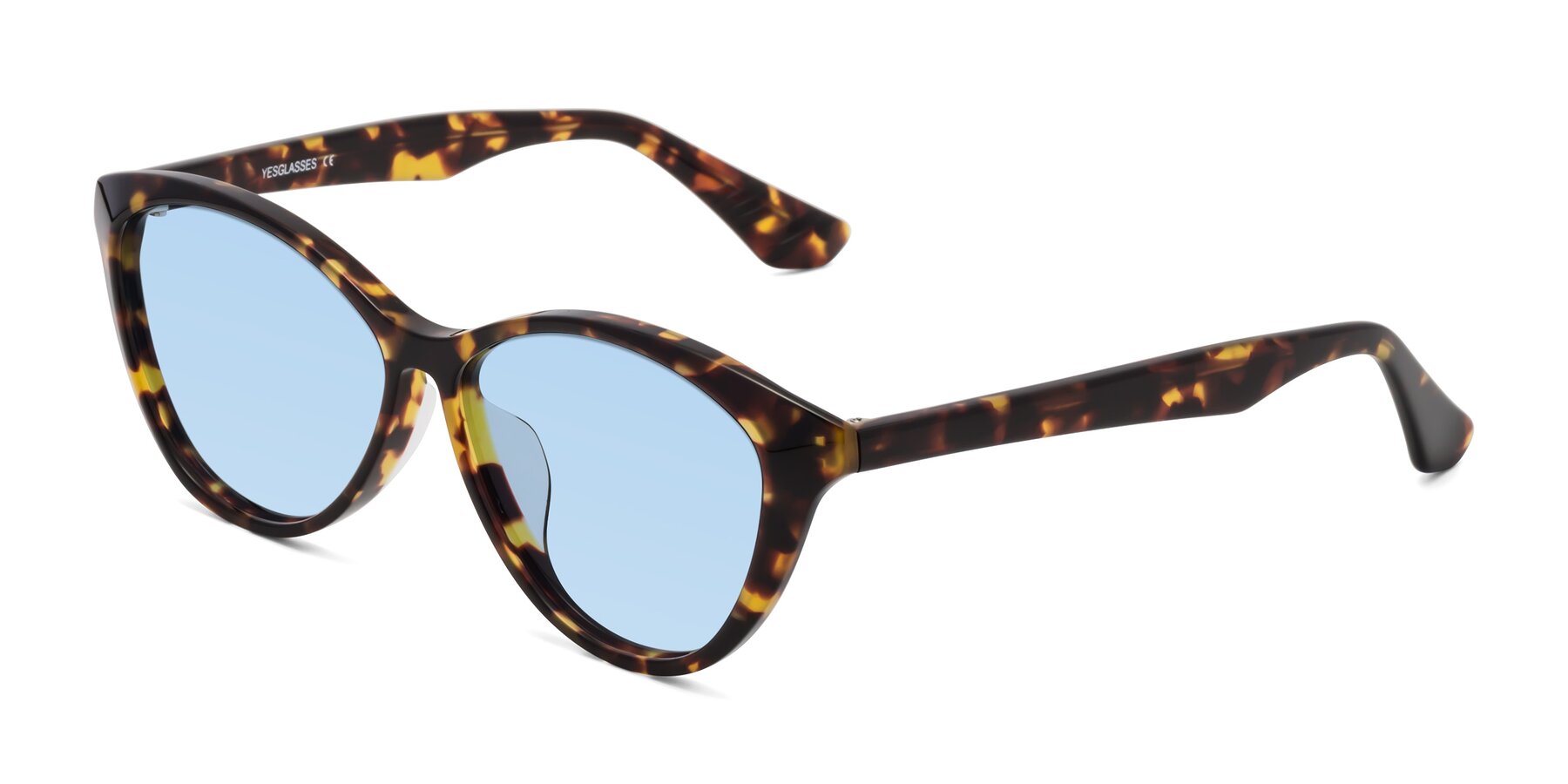 Angle of Casualness in Tortoise with Light Blue Tinted Lenses