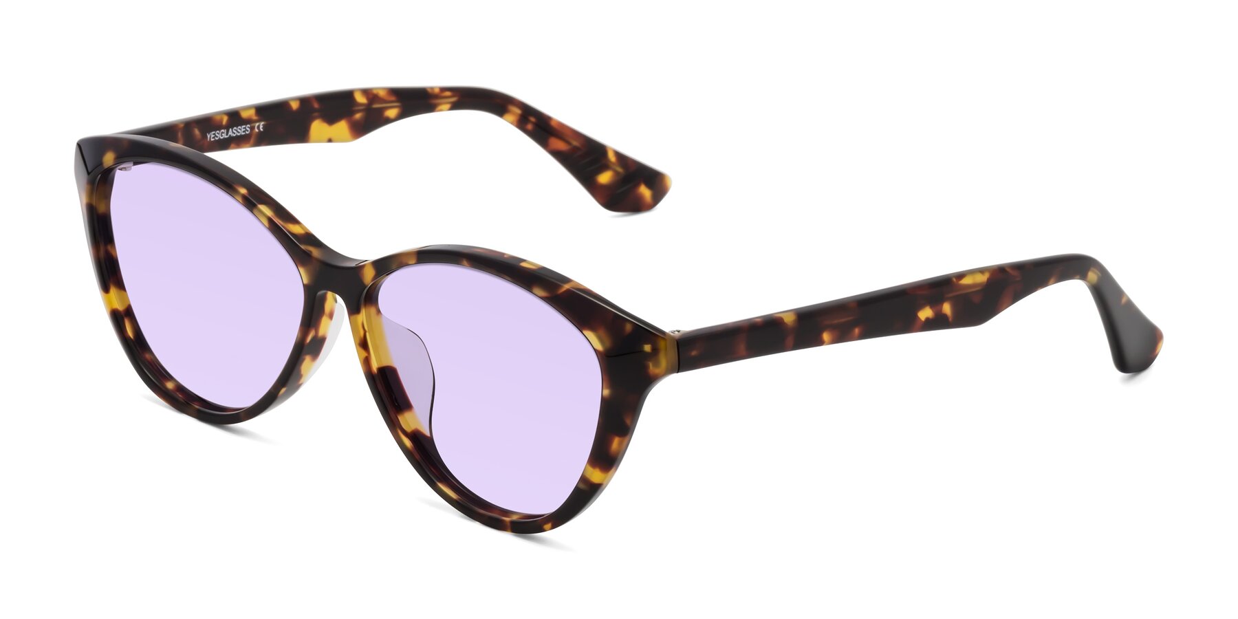 Angle of Casualness in Tortoise with Light Purple Tinted Lenses