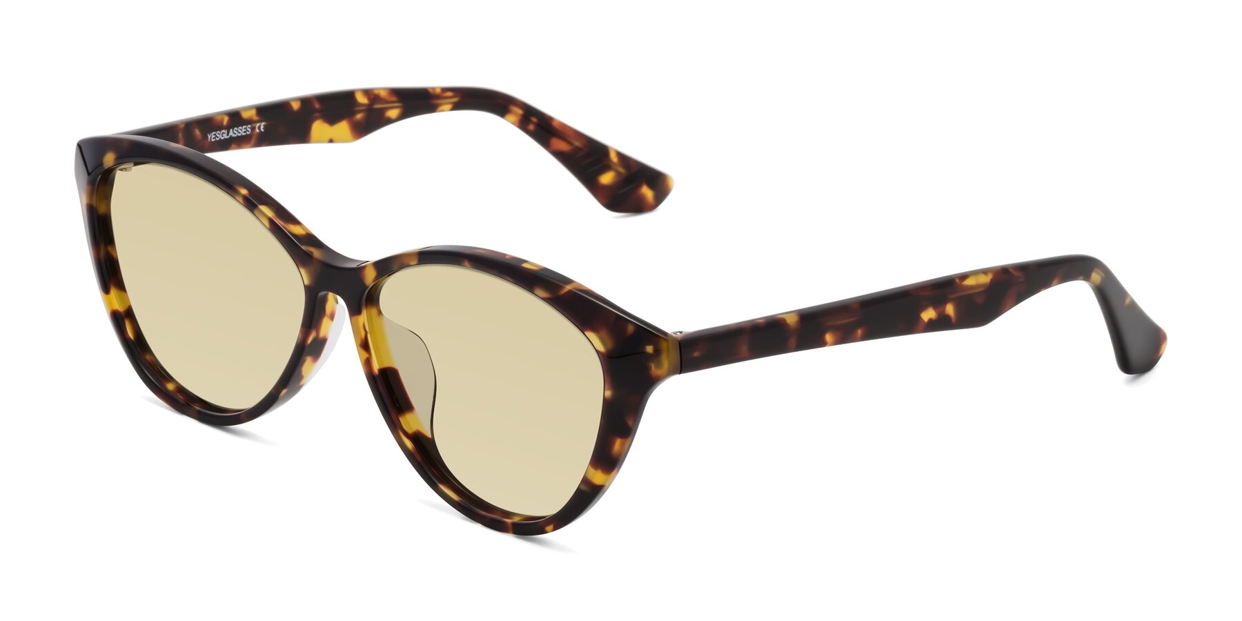 Angle of Casualness in Tortoise with Light Champagne Tinted Lenses