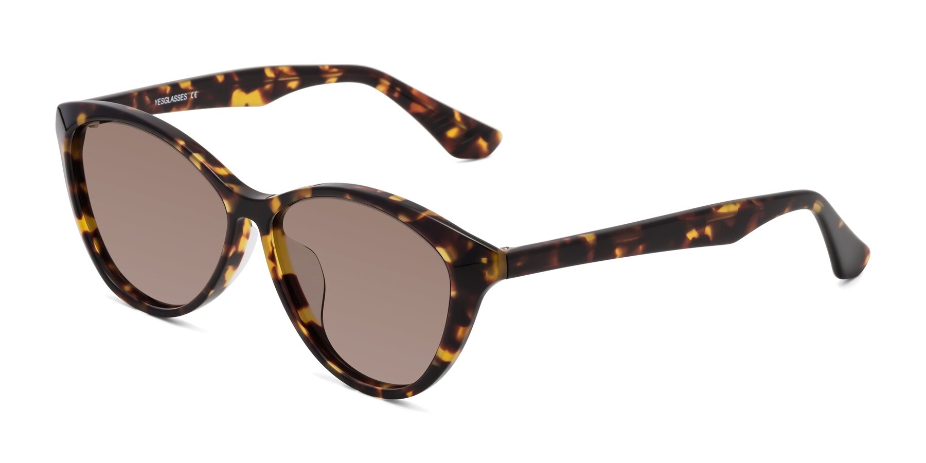 Angle of Casualness in Tortoise with Medium Brown Tinted Lenses