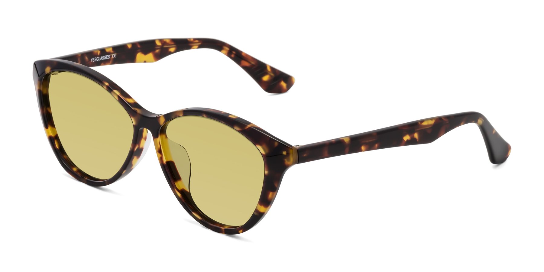 Angle of Casualness in Tortoise with Medium Champagne Tinted Lenses