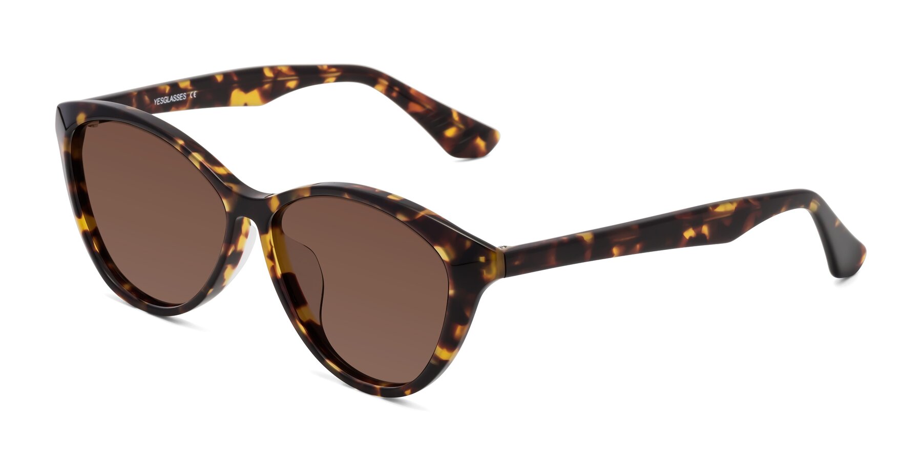 Angle of Casualness in Tortoise with Brown Tinted Lenses