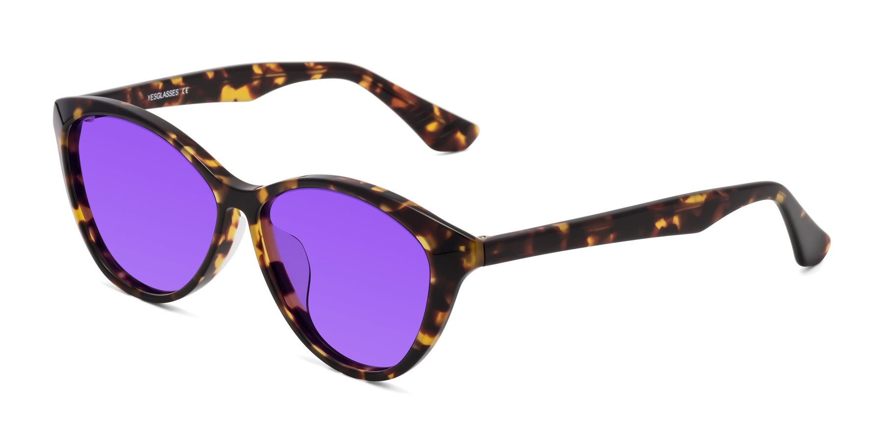 Angle of Casualness in Tortoise with Purple Tinted Lenses