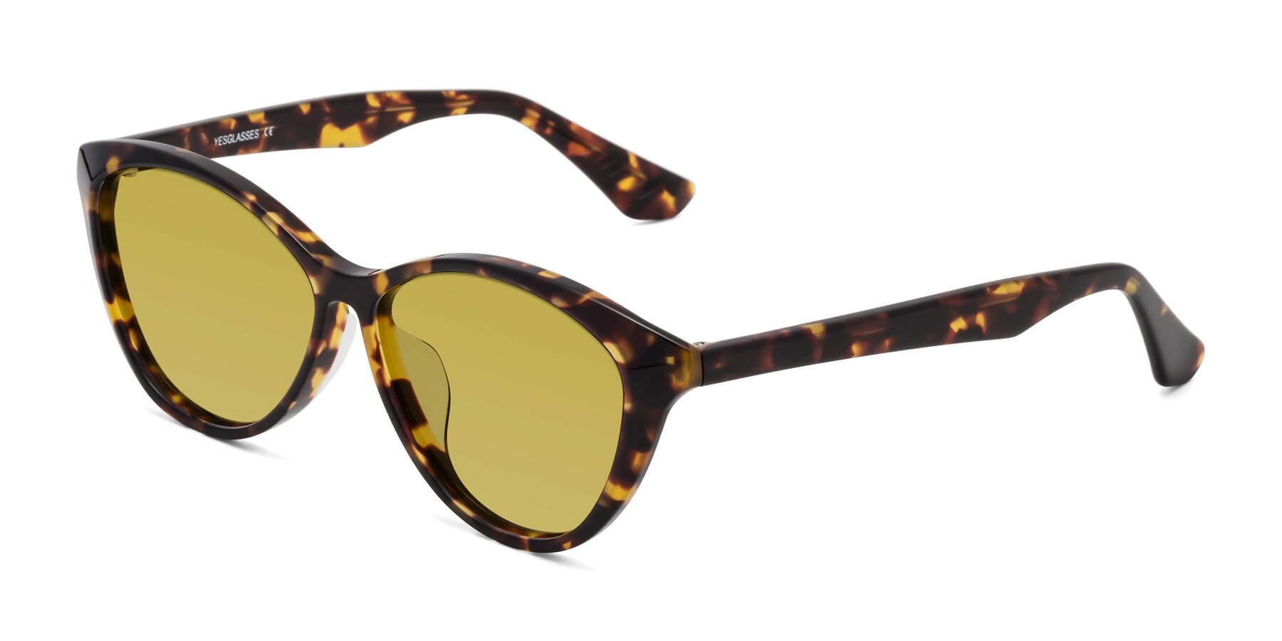 Angle of Casualness in Tortoise with Champagne Tinted Lenses