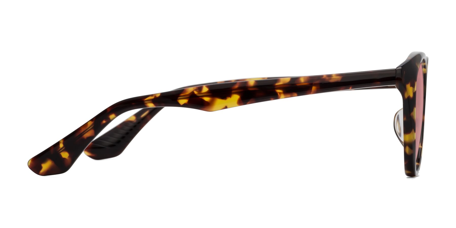 Side of Casualness in Tortoise with Medium Garnet Tinted Lenses